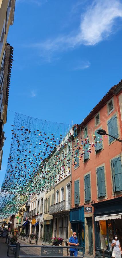 Chez Mamita : Appartement Dans Quartier Calme. 卡尔卡松 外观 照片